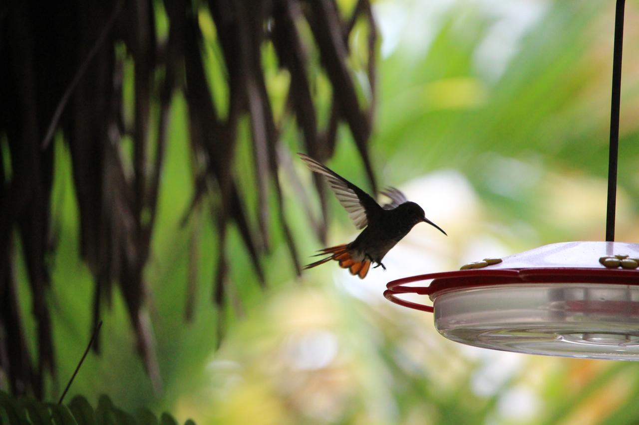 La Mariposa Hostal Olón Dış mekan fotoğraf